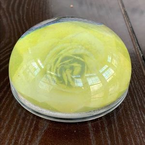 Yellow John Derian style decoupage paperweight